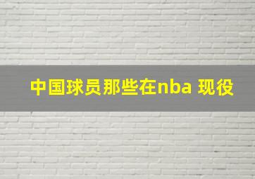 中国球员那些在nba 现役